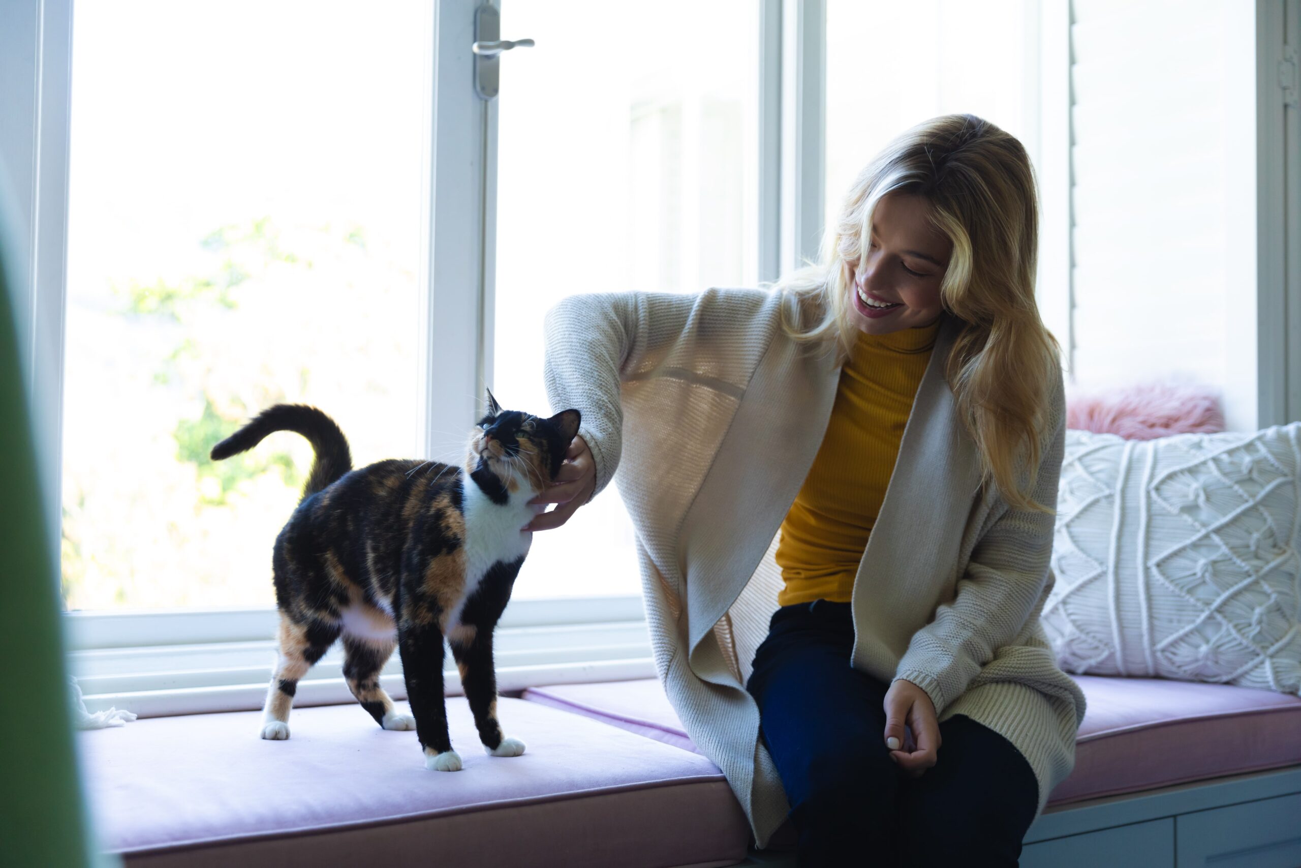 Qualifying Your Animal as an Emotional Support Animal (ESA): Training and Criteria 