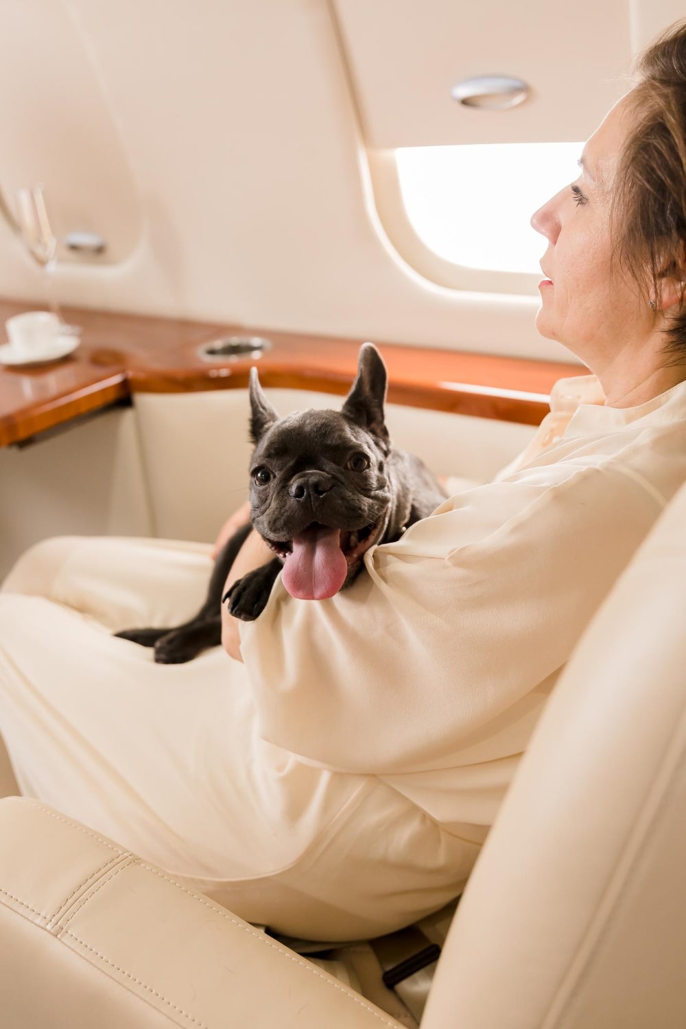 Navigating the New DOT Rules for ESA on Flights
