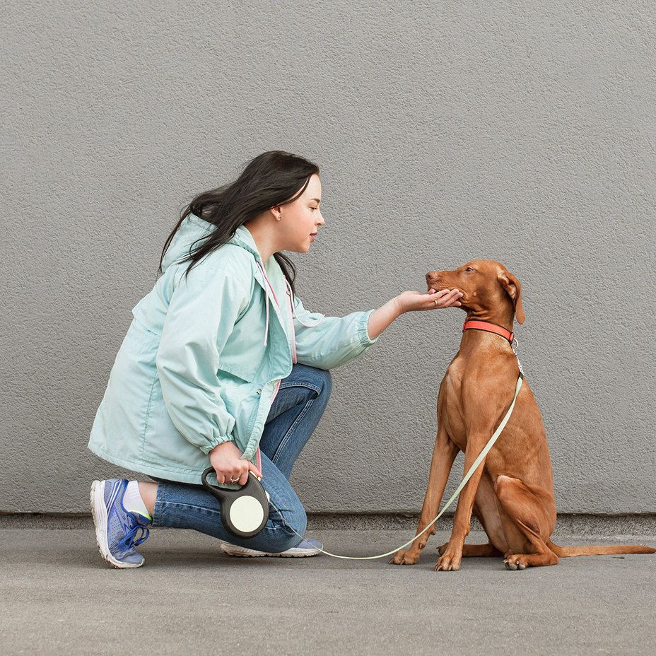 US-SAR Public Access Test for Service Dogs: Ensuring Training and Safety