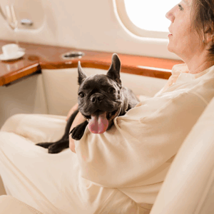 Navigating the New DOT Rules for ESA on Flights