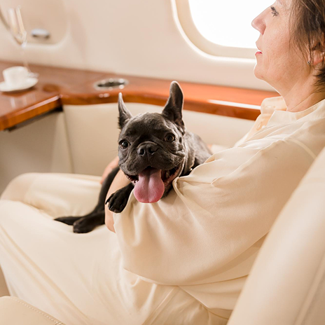 Navigating the New DOT Rules for ESA on Flights